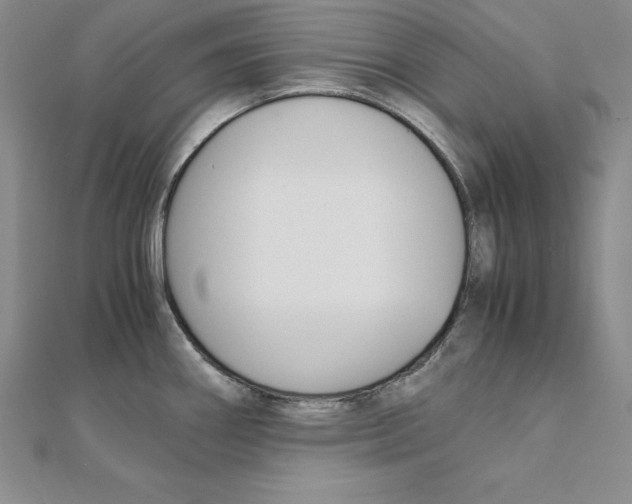 X0000110321290200906181816