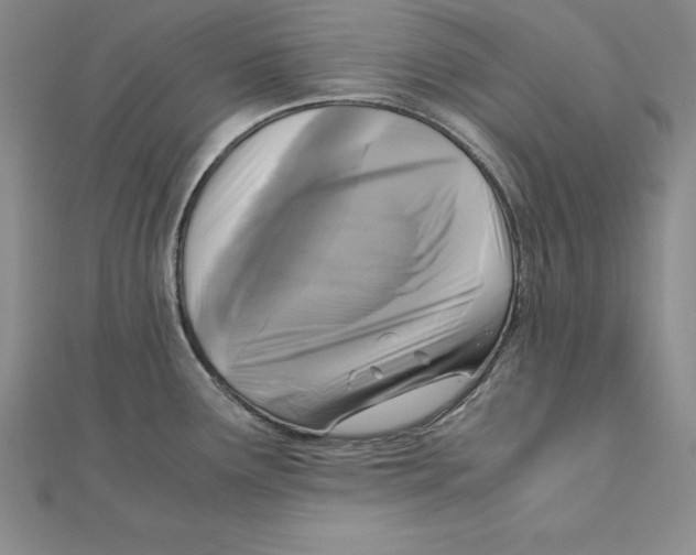 X0000110321291200906181816