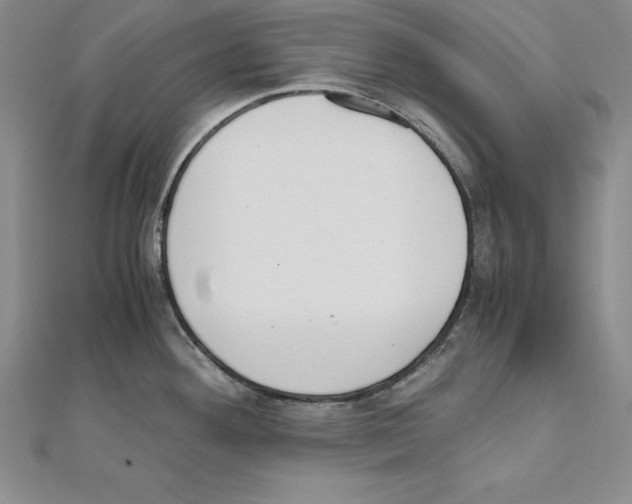 X0000110321292200906181816