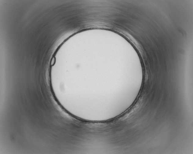 X0000110321293200906181816