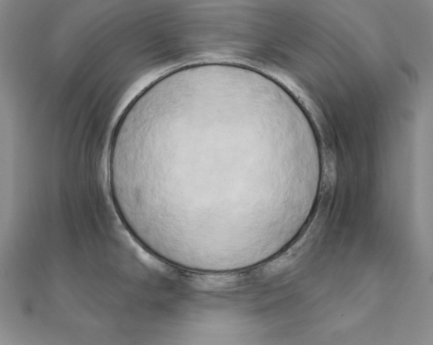 X0000110321294200906181816