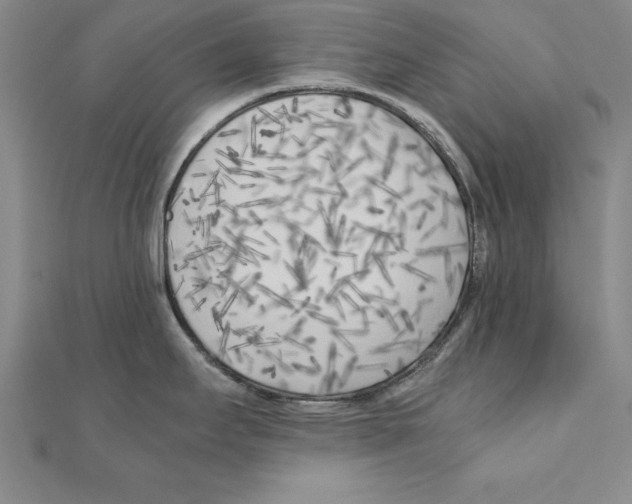 X0000110321295200906181816