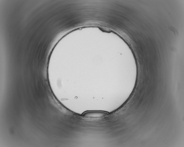 X0000110321296200906181816