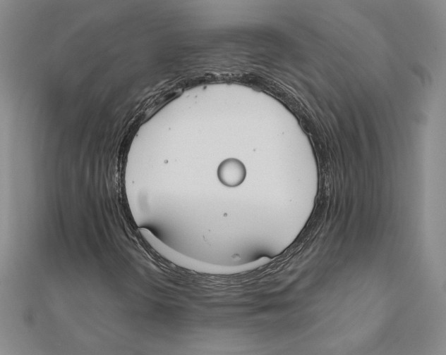 X0000110321298200906181815