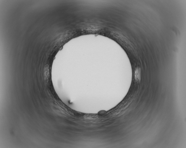 X0000110321299200906181815