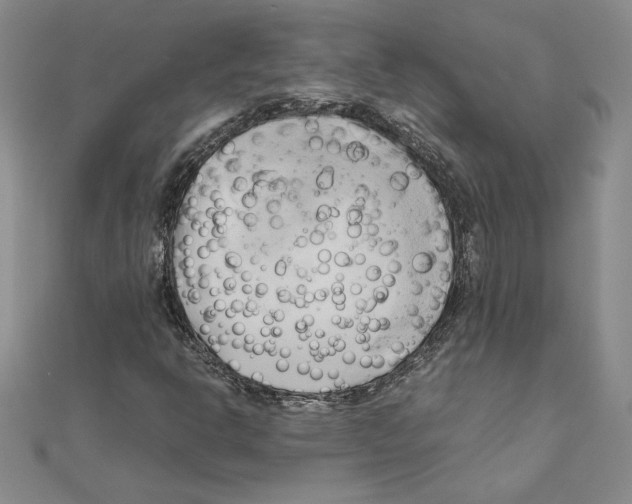 X0000110321302200906181815