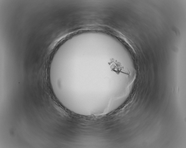 X0000110321304200906181815