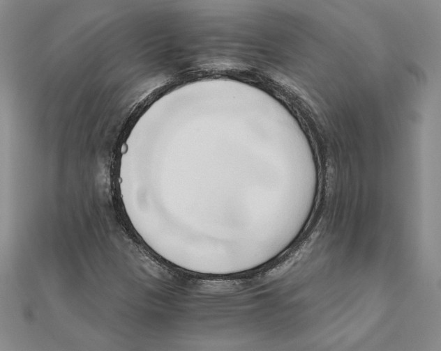 X0000110321305200906181815