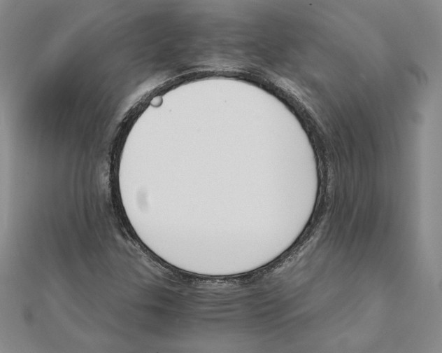 X0000110321307200906181815