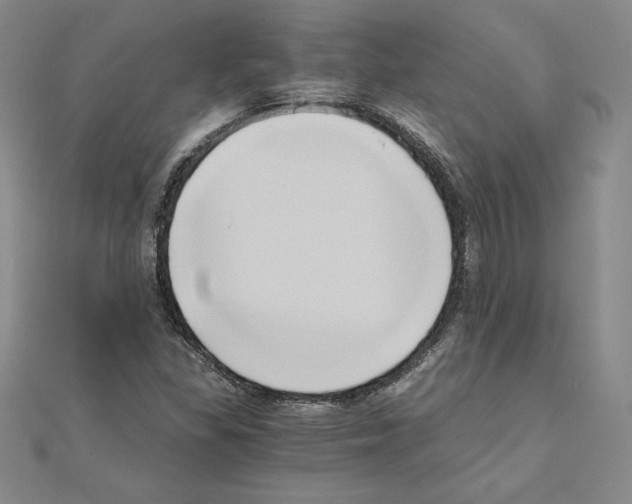 X0000110321309200906181815