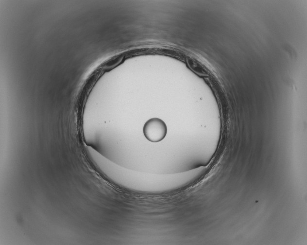 X0000110321310200906181815