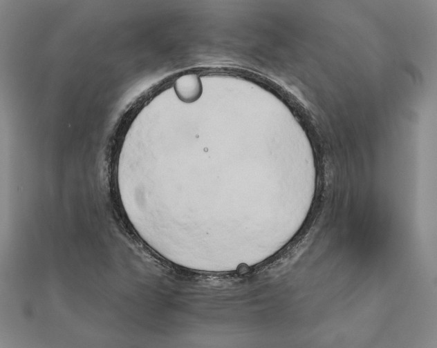 X0000110321311200906181815