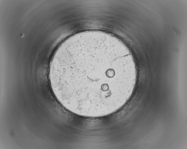 X0000110321314200906181815