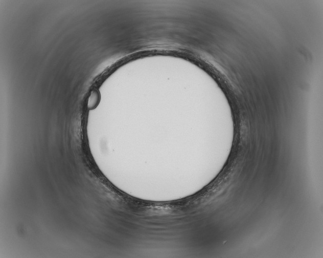 X0000110321315200906181815