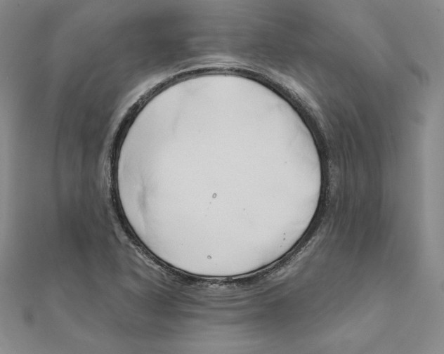 X0000110321318200906181815