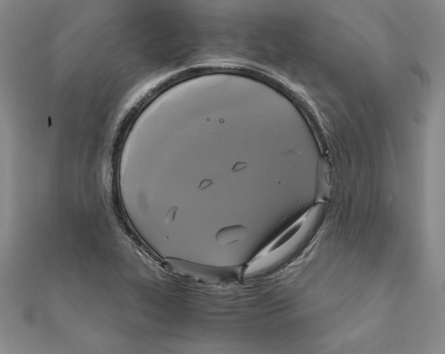 X0000110321319200906181815