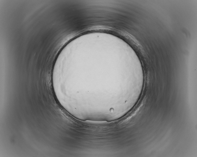 X0000110321321200906181815