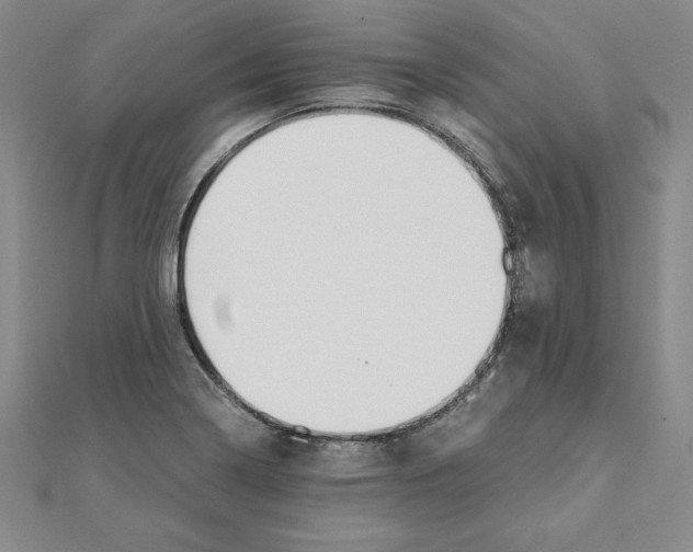 X0000110321322200906181815