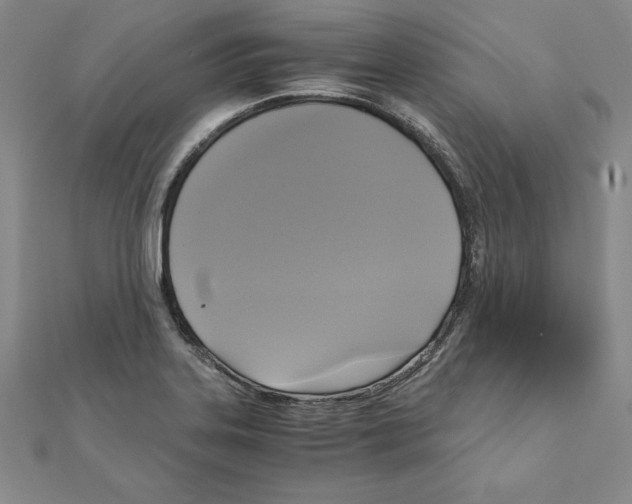 X0000110321323200906181815