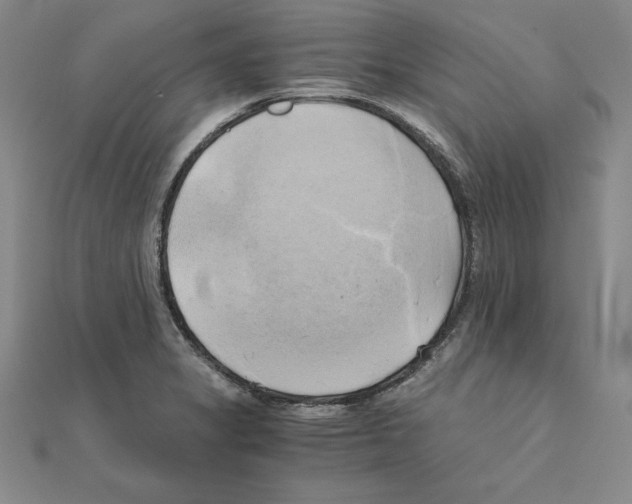 X0000110321325200906181815