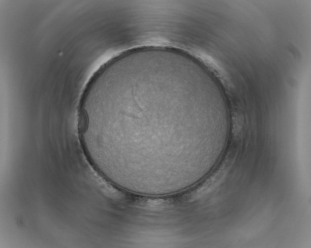 X0000110321326200906181815