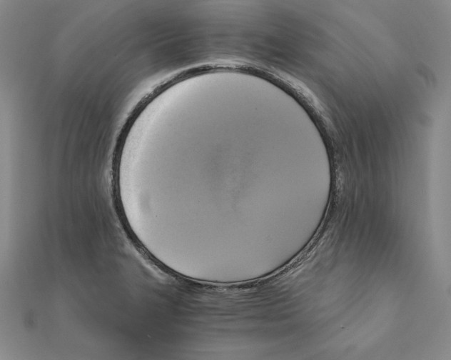 X0000110321327200906181815