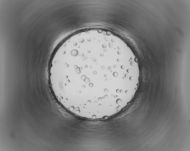 X0000110321328200906181815