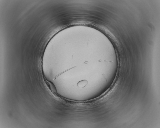 X0000110321329200906181815