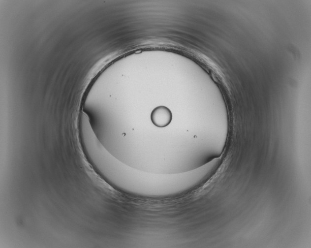 X0000110321330200906181815