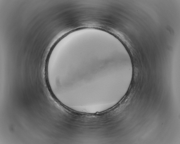 X0000110321331200906181815