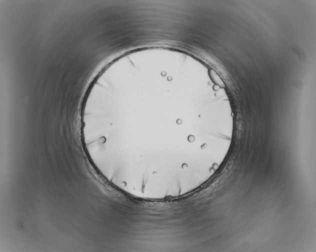 X0000110321332200906181815