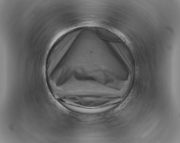 X0000110321334200906181815