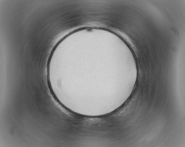 X0000110321335200906181815