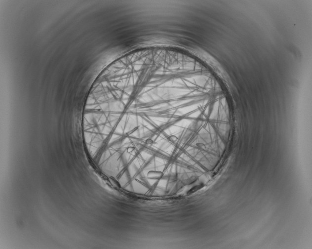 X0000110321337200906181815