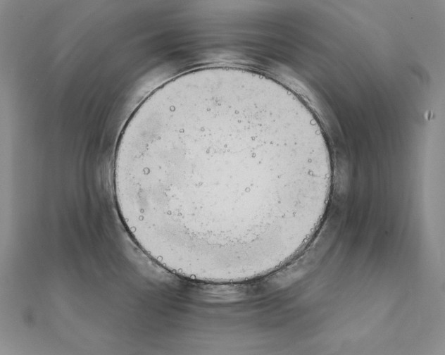 X0000110321338200906181815