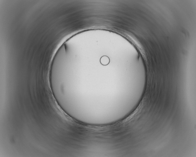 X0000110321340200906181815