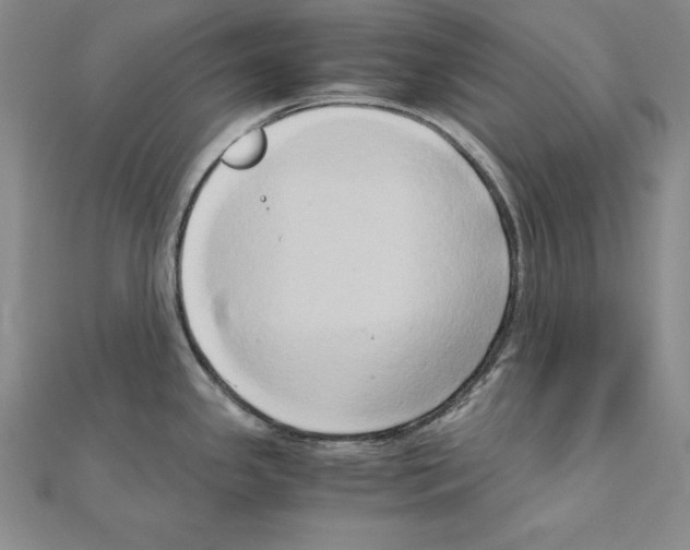 X0000110321341200906181815