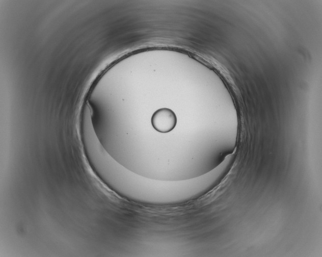 X0000110321342200906181815