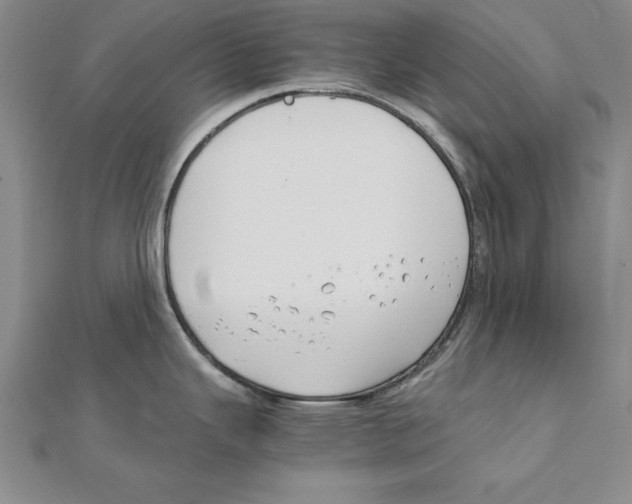 X0000110321343200906181815