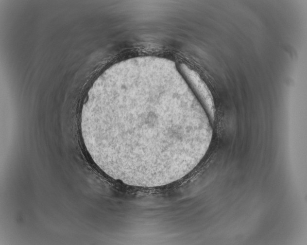 X0000110321345200906181815