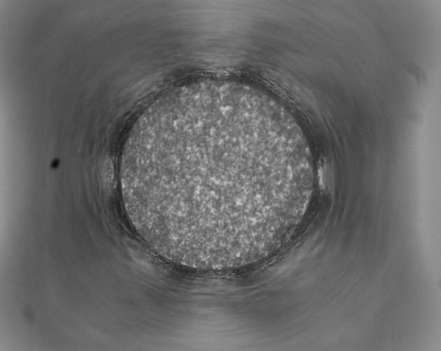 X0000110321347200906181815