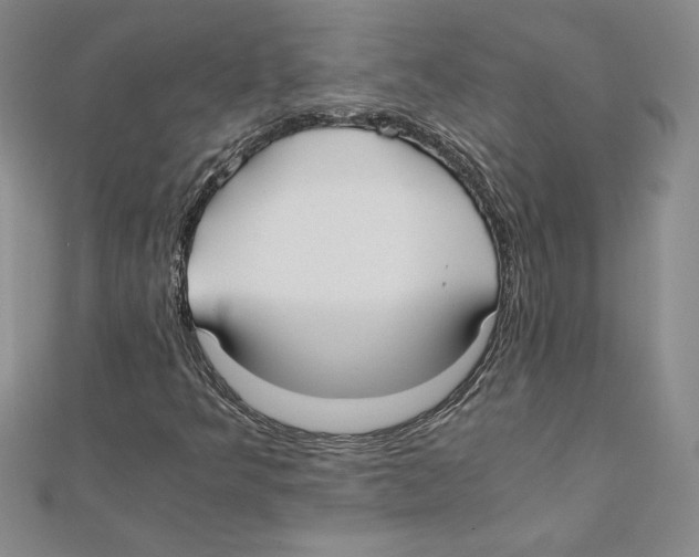 X0000110321349200906181815