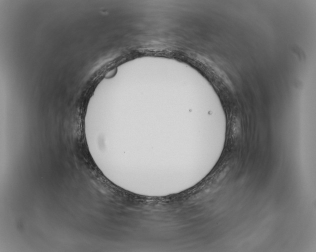 X0000110321350200906181815