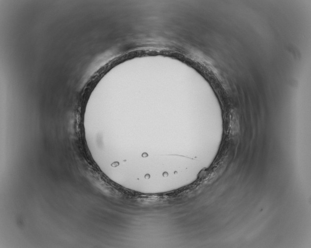 X0000110321352200906181815