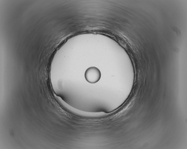 X0000110321353200906181815