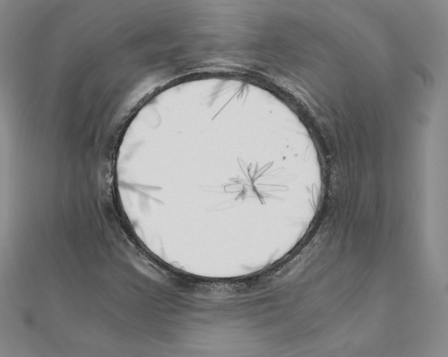 X0000110321355200906181815