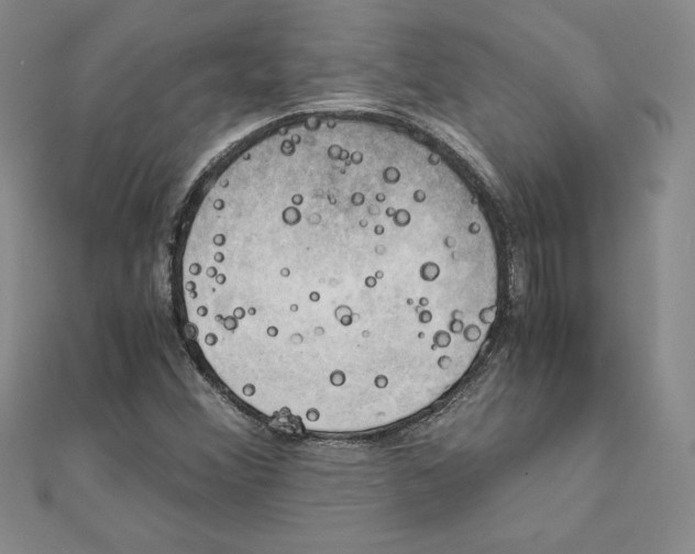 X0000110321356200906181815