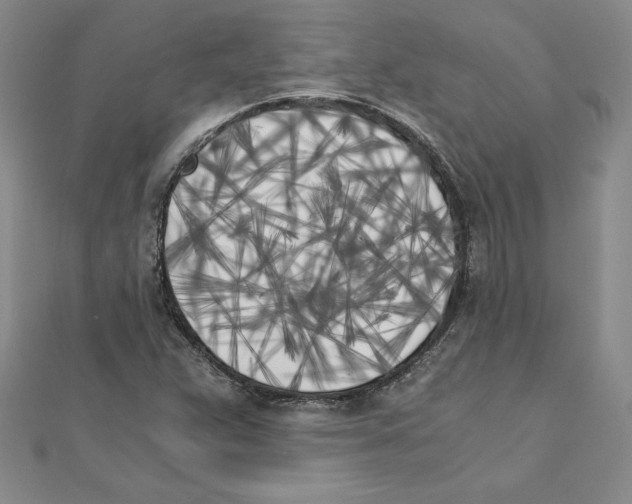 X0000110321359200906181815