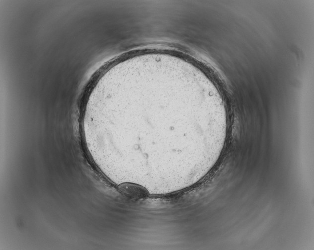 X0000110321360200906181815