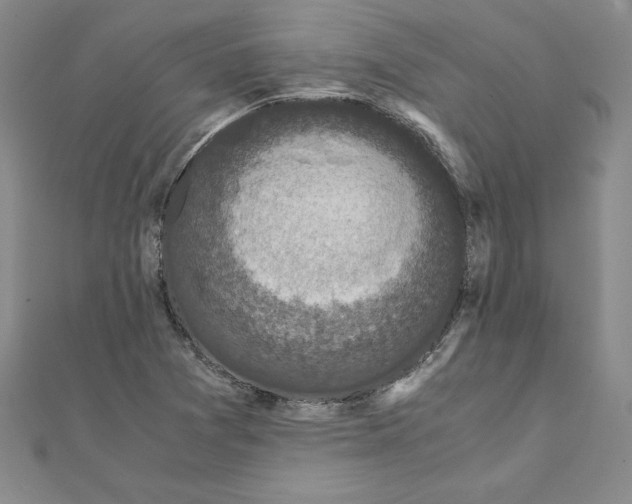 X0000110321361200906181815